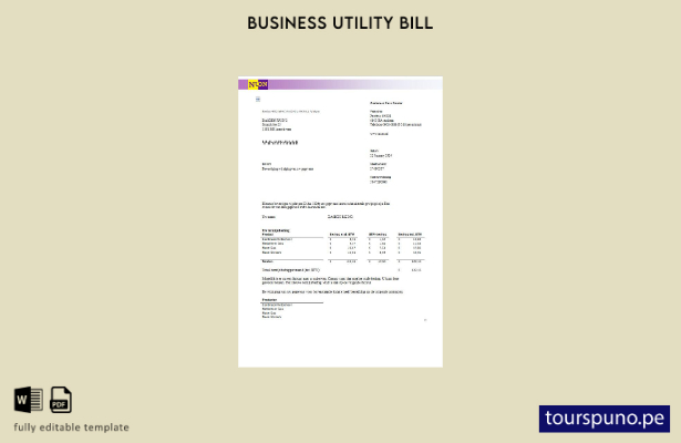 lista para imprimir plantilla de factura de servicios públicos de gas NUON de Pa